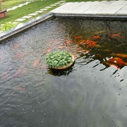 微信_1823747