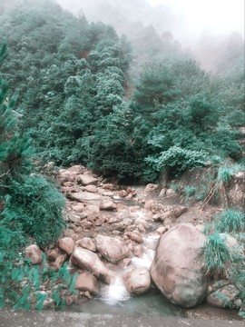 浅浅儿~主播照片