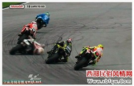 Ⅶゞ网球王子主播照片