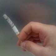 孑孓子。
