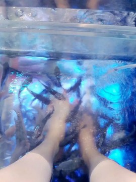 甜城♬川妹儿主播照片