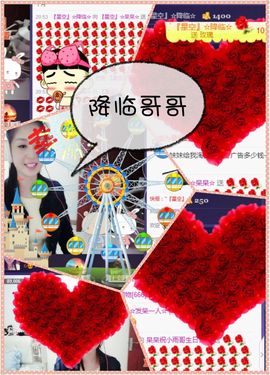 呆呆就此离开主播照片