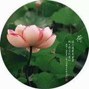 微信_2913110海报
