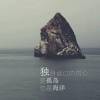 刚玩什么都不懂