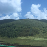 红包星星升6富海报