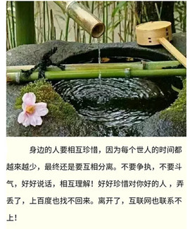 花开为了谁🍃主播照片