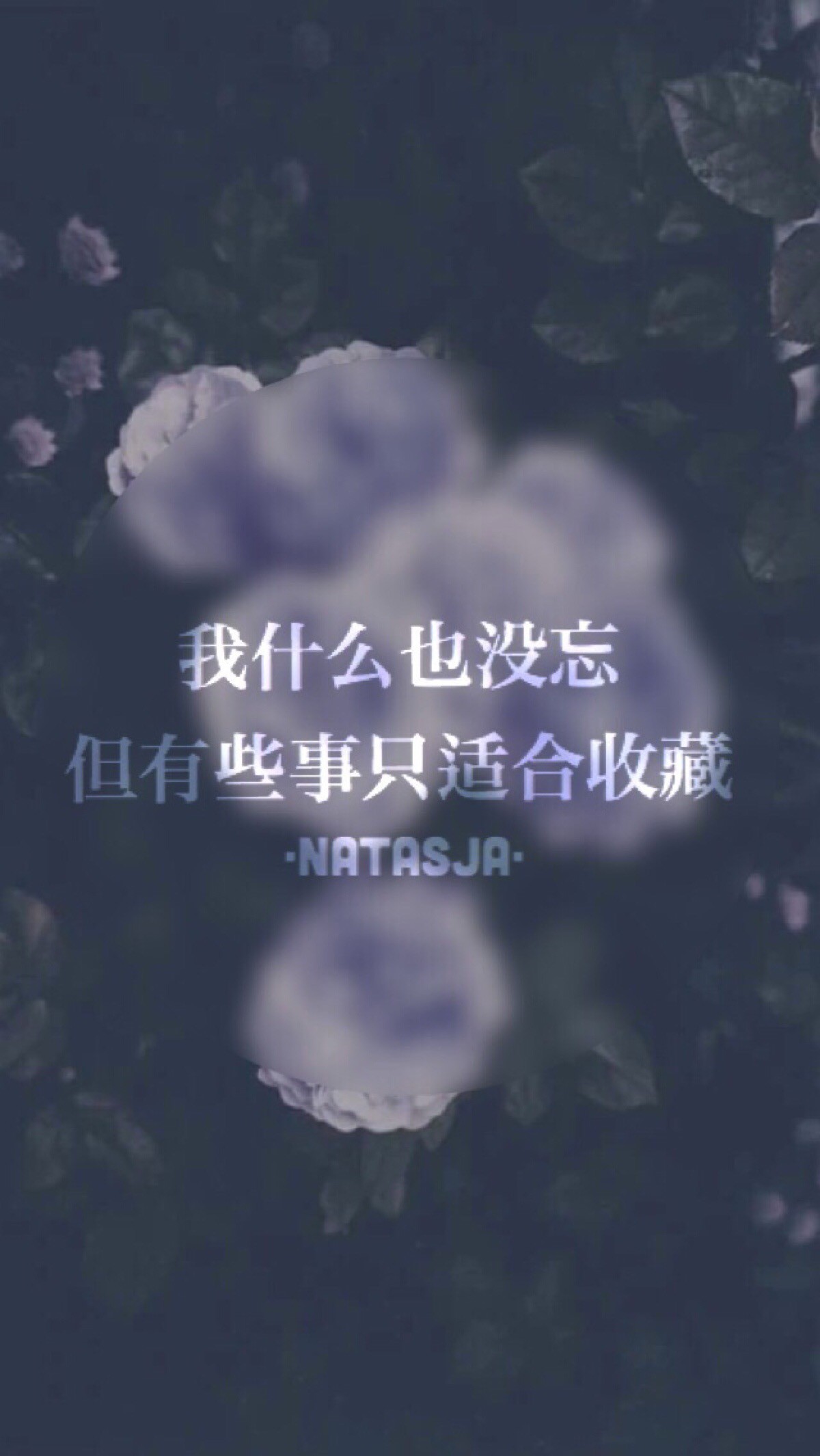 又去了看看的主播照片