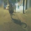 锄禾v6