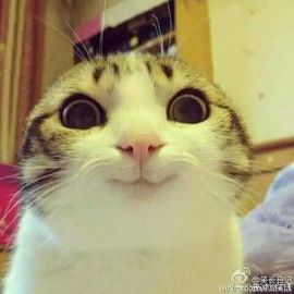 萌上眼，乖乖的...主播照片