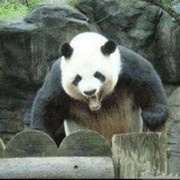 你爱我否