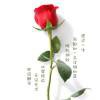 萧哥♀海报