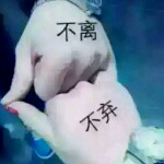 ♥阿🎀龍的主播照片