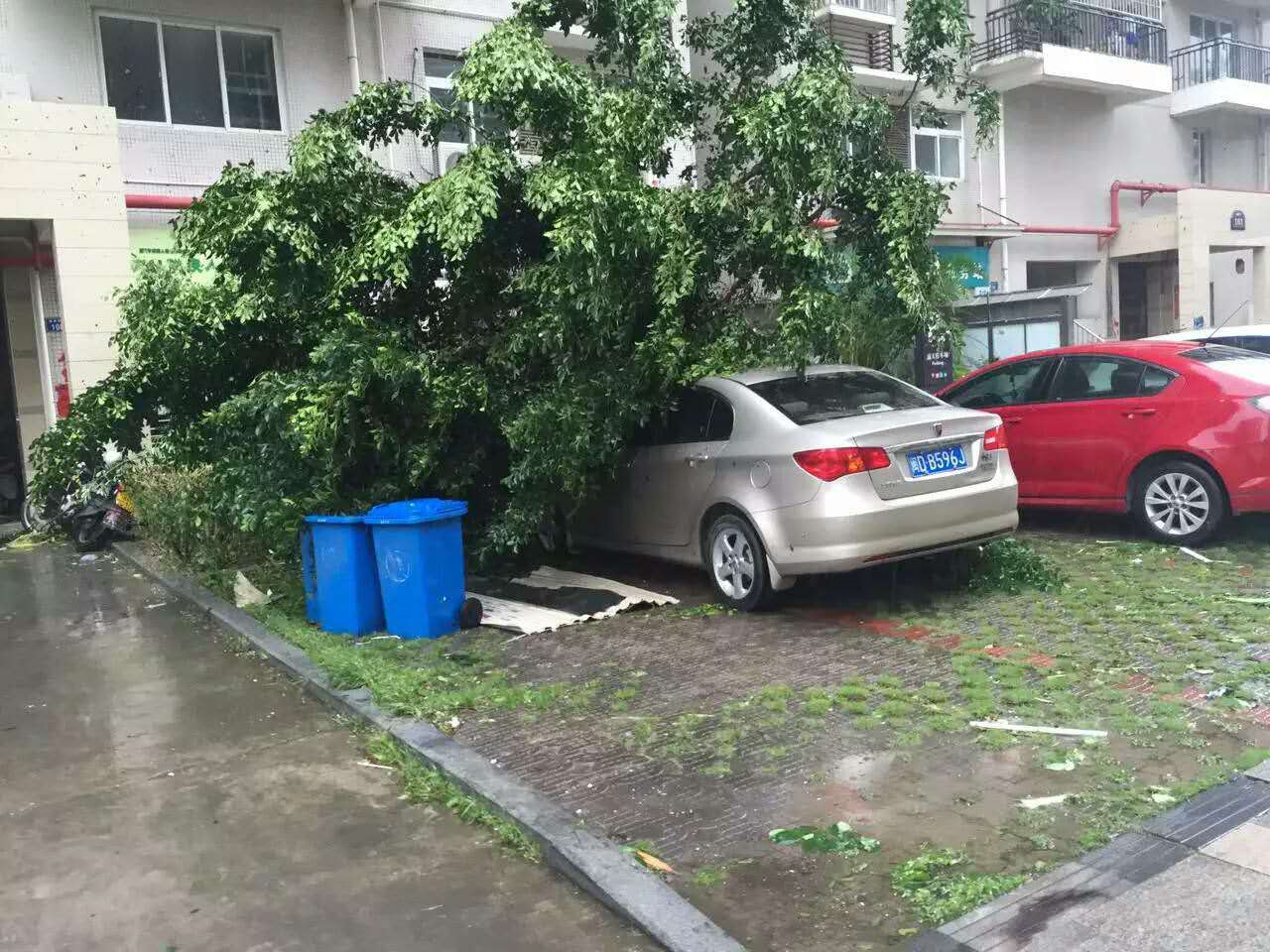 你把绝情给了动情地我的主播照片