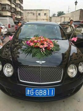 罗曼666主播照片