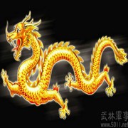 👑龙哥👑海报