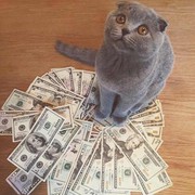 猜猜我是谁-101