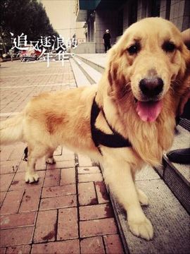 ✨媳婦⭐求🌙帶走✨主播照片