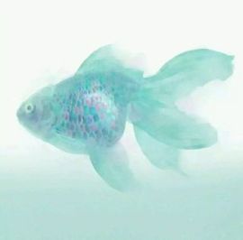 ✨媳婦⭐求🌙帶走✨主播照片