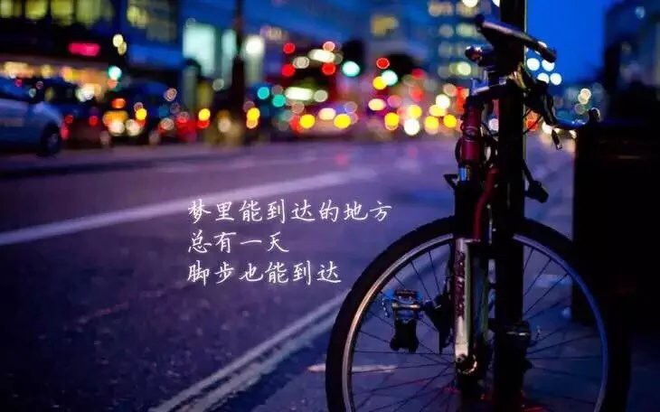 Ⅶゞ网球王子主播照片