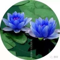 爱你已成❤我的习惯的主播照片