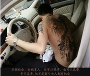 不谈情也不说爱