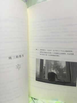 洛C~~主播照片