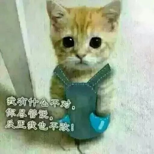 航天~的主播照片