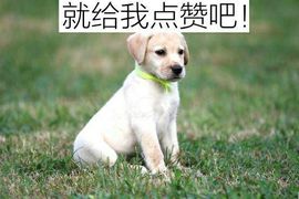 ✨媳婦⭐求🌙帶走✨主播照片