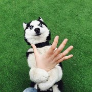 微信_5523364