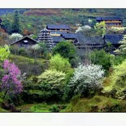 虹光-的头像