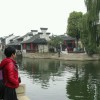褪了色的贝壳