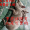 ︶￣扯淡的人生9