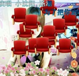 烟花🐾主播照片