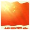 孤星雨d海报
