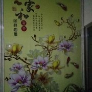 本人是个小帅哥陪00