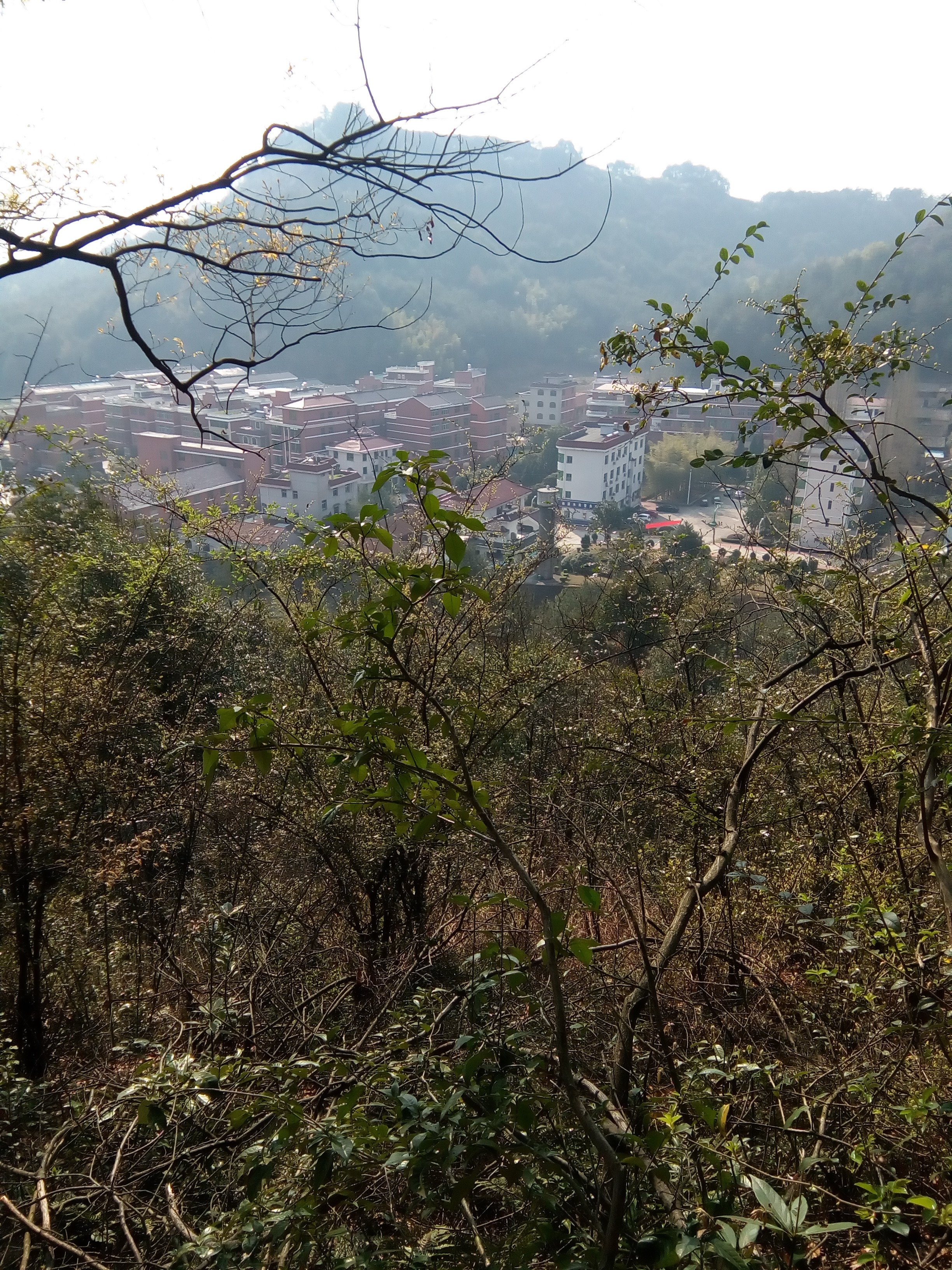 💥随✨心的主播照片