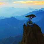 西山晴的頭像