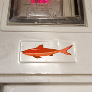 丝姐在