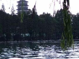 ☁云飞扬☁主播照片