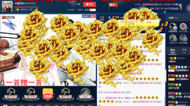 梨花不再期待主播照片