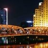 西伯利亚狼9u4海报