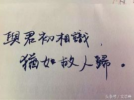 @白狐主播照片