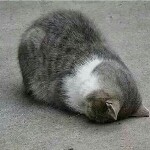 夜未眠^.^