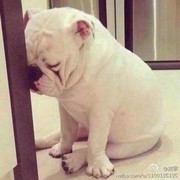 微信_6787183