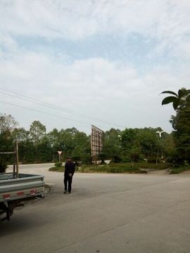 天使的伪装主播照片