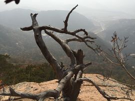 涛子仙贝亲哥主播照片