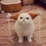 微信_z