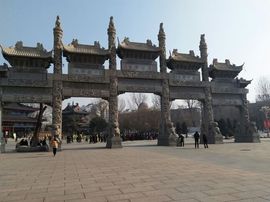 龙哥起来主播照片