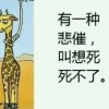 无痕p2o的头像