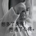 公主后宫～佳丽